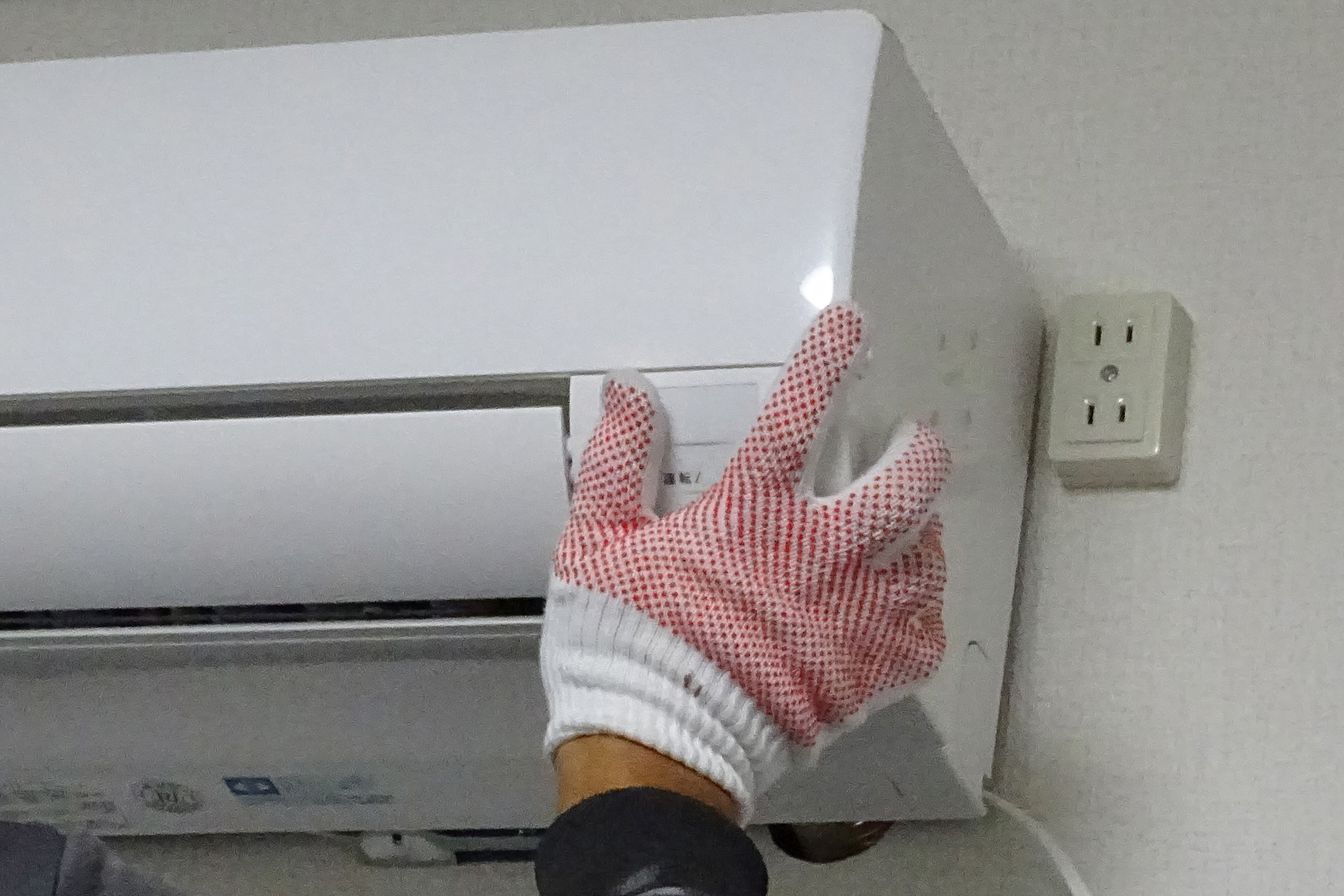 の画像